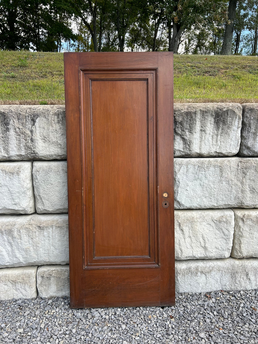 Antique Single Panel Door