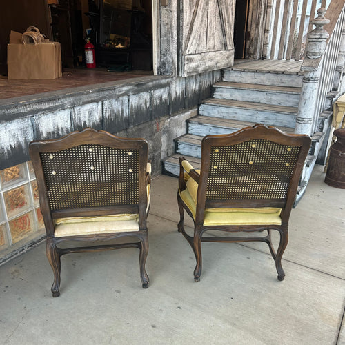 Antique Cane + Velvet Chairs