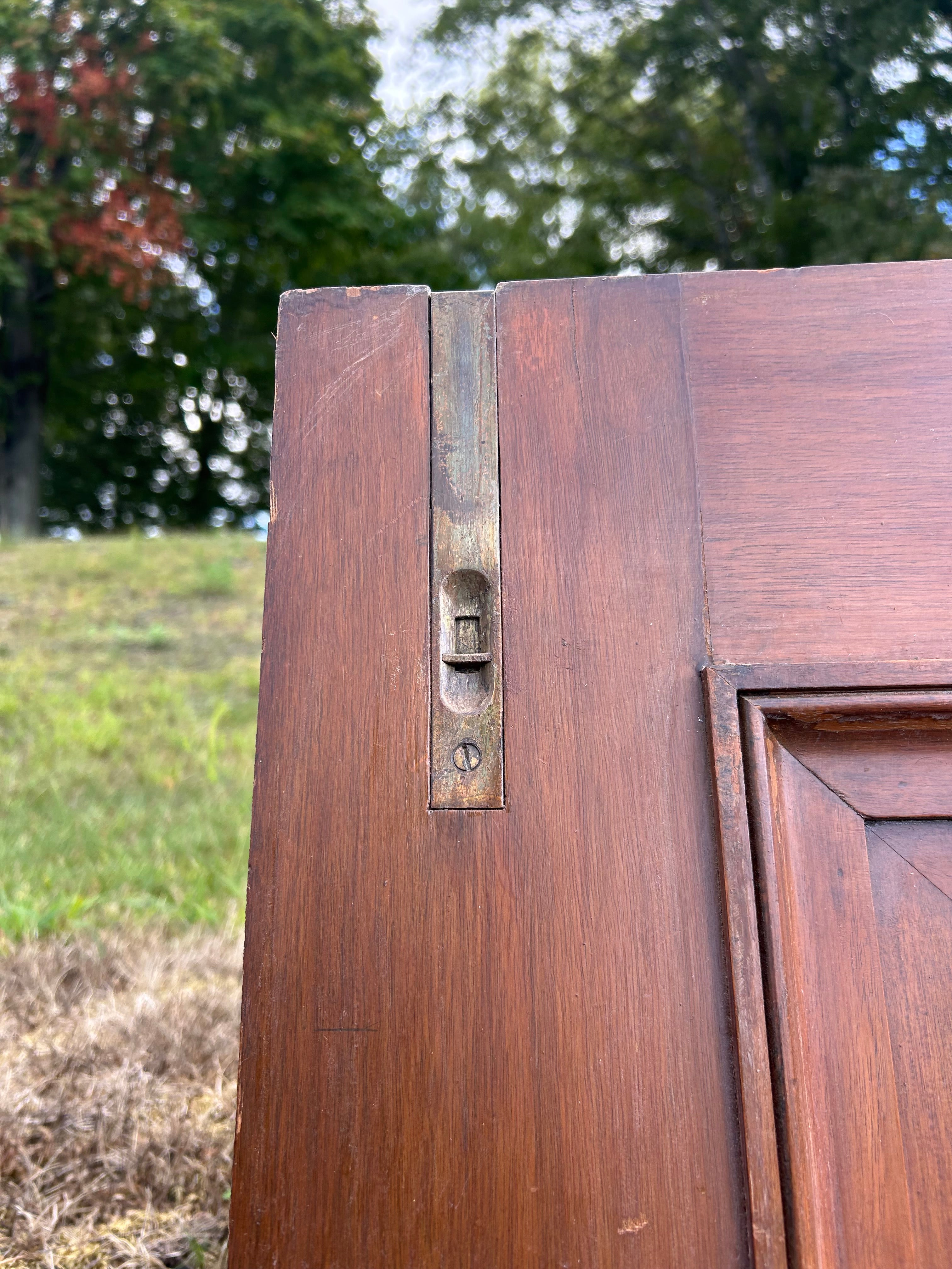 Antique Single Panel Door – attic+earth Home
