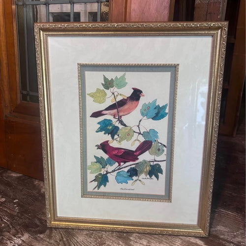 Vintage Framed Blue Jay and Cardinal Bird Prints