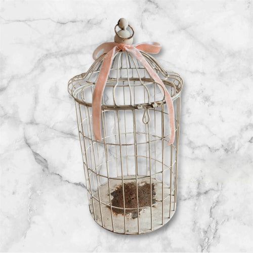 Metal Decorative Birdcage