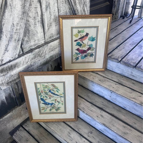 Vintage Framed Blue Jay and Cardinal Bird Prints