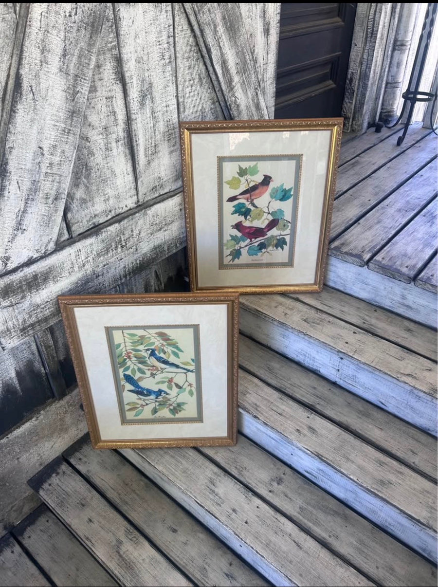 Vintage Framed Blue Jay and Cardinal Bird Prints