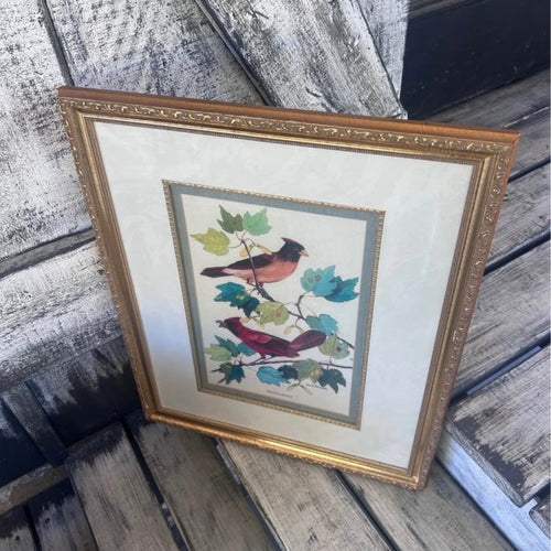 Vintage Framed Blue Jay and Cardinal Bird Prints