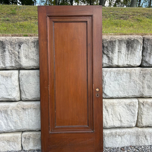 Antique Single Panel Door