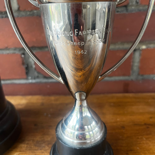 Vintage Silver Plate Trophies