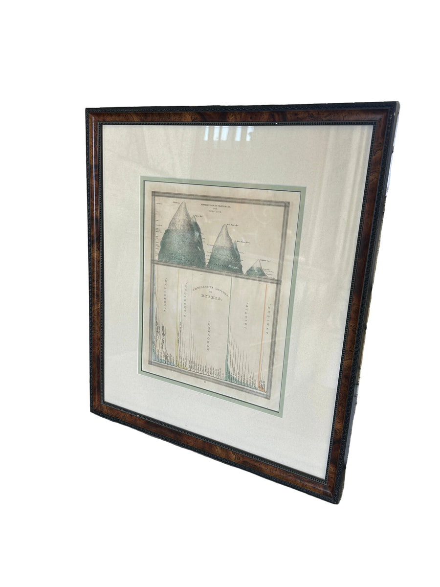 Vintage Framed Antique-Style Mountains & Rivers Comparative Chart