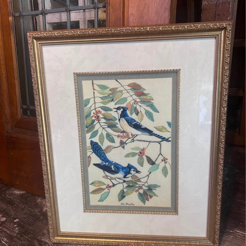Vintage Framed Blue Jay and Cardinal Bird Prints