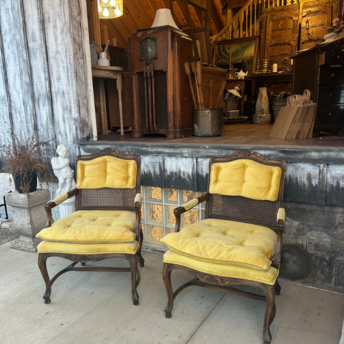 Antique Cane + Velvet Chairs