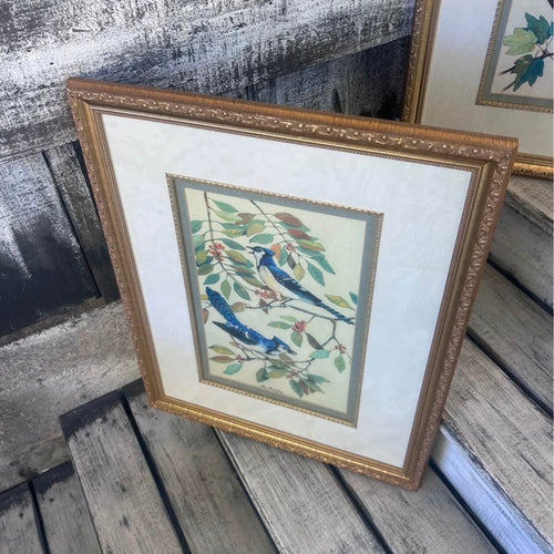 Vintage Framed Blue Jay and Cardinal Bird Prints